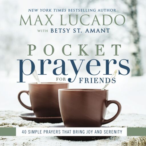 Pocket Prayers for Friends: 40 Simple Prayers That Bring Joy and Serenity - The Perfect Christian Friendship Gift with Devotional Prayers and Scripture Passages