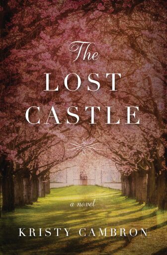 The Lost Castle: A Split-Time Romance