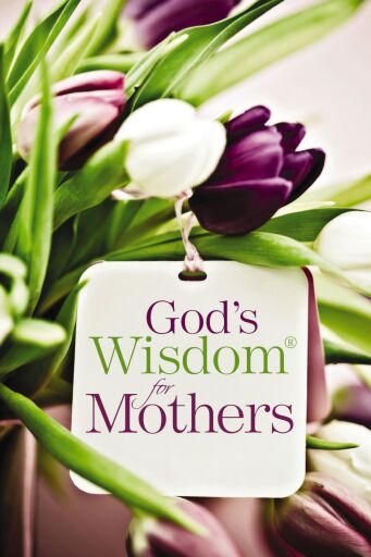God's Wisdom for Mothers: Timeless Guidance from the Bible