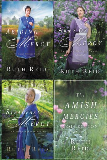 The Amish Mercies Collection: Abiding Mercy, Arms of Mercy, Steadfast Mercy / Digital original