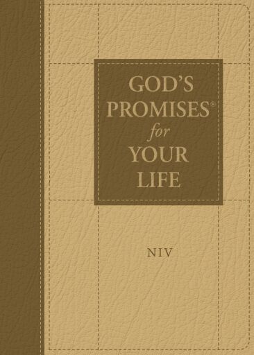 God's Promises for Your Life: New International Version