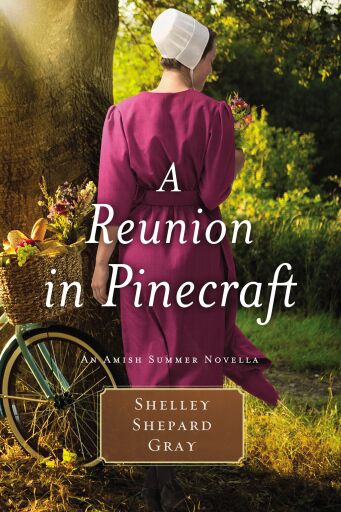 A Reunion in Pinecraft: An Amish Summer Novella / Digital original
