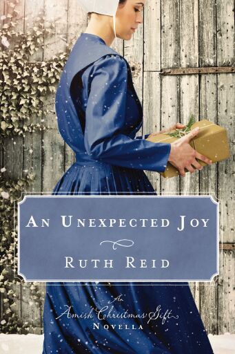 An Unexpected Joy: An Amish Christmas Gift Novella / Digital original