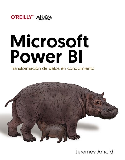 Portada del libro «MICROSOFT POWER BI. TRANSFORMACION DE DATOS EN CONOCIMIENTO»