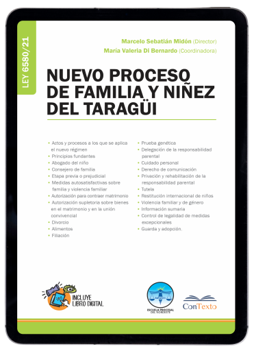 Nuevo proceso de familia y niñez del taragüi
