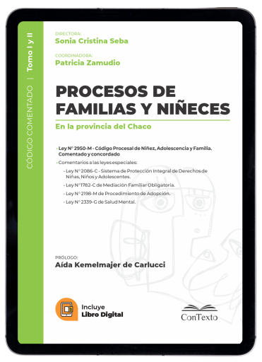 Procesos de Familias y Niñeces en la provincia del Chaco, Código comentado y leyes especiales