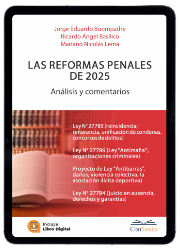 Las Reformas Penales de 2025, Análisis y comentarios