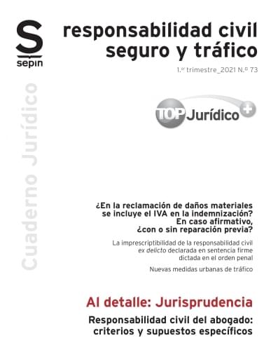 Responsabilidad civil del abogado: criterios y supuestos específicos