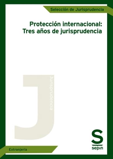Protección internacional: Tres años de jurisprudencia