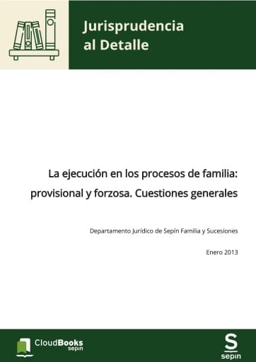 La ejecución en los procesos de familia: provisional y forzosa. Cuestiones generales