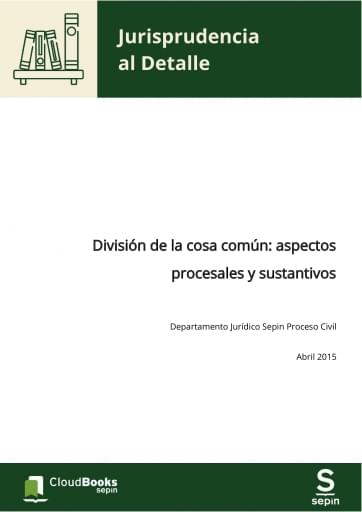 División de la cosa común: aspectos procesales y sustantivos