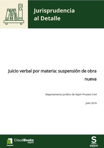Juicio verbal por materia: suspensión de obra nueva