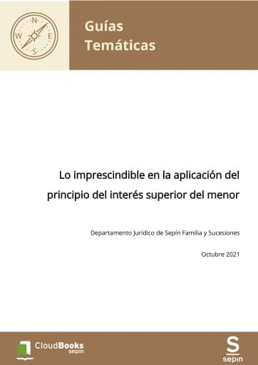 Lo imprescindible en la aplicación del principio del interés superior del menor