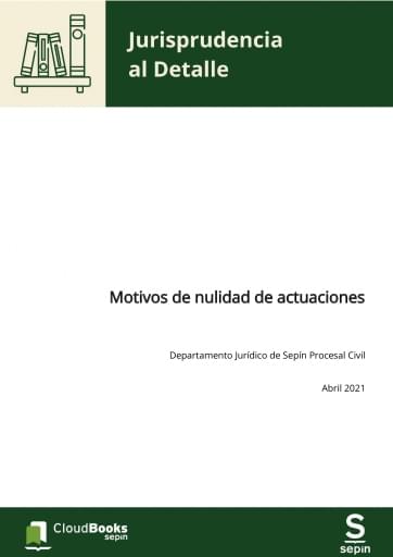 Motivos de nulidad de actuaciones