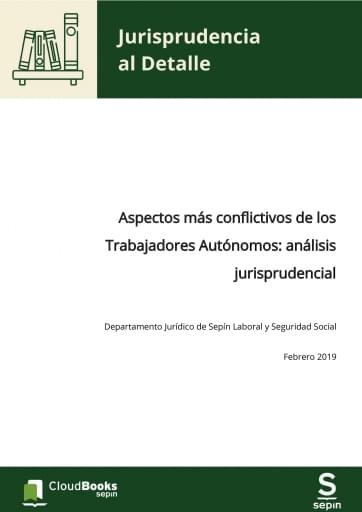 Aspectos más conflictivos de los Trabajadores Autónomos: análisis jurisprudencial
