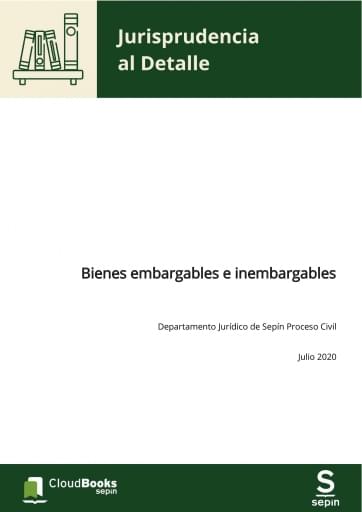 Bienes embargables e inembargables