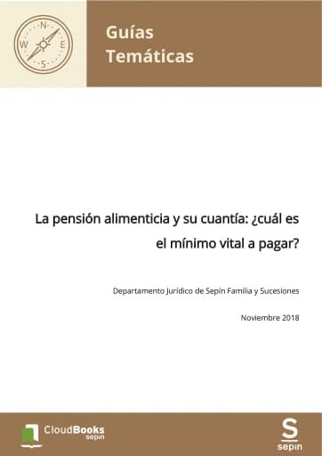 La pensión alimenticia y su cuantía: ¿cuál es el mínimo vital a pagar?