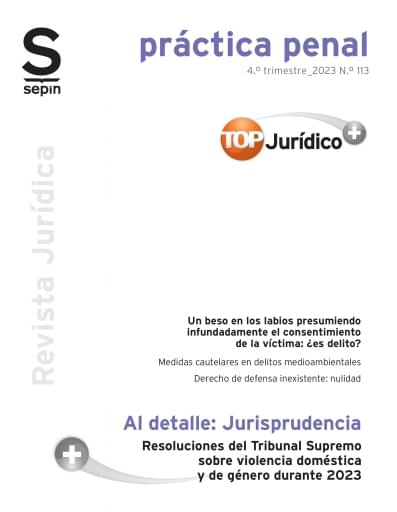 Resoluciones del Tribunal Supremo sobre violencia doméstica y de género durante 2023