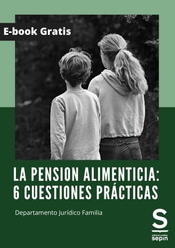La pensión alimenticia: 6 cuestiones prácticas