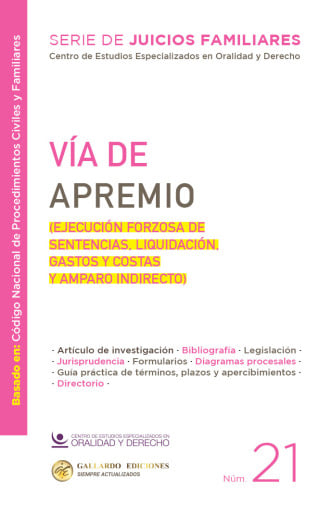 Vía de Apremio (Ejecución Forzosa de Sentencias, Liquidación, Gastos y Costas y Amparo Indirecto)