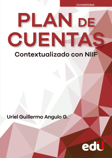 Plan de cuentas. Contextualizado con NIIF 2023