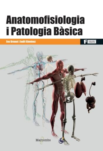 Prof ANATOMOFISIOLOGIA I PATOLOGIA BÀSICA
