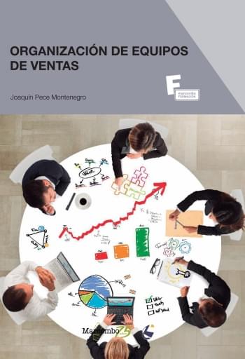 Prof ORGANIZACIÓN DE EQUIPOS DE VENTAS
