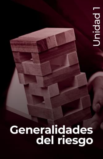 Análisis de riesgos en seguridad: curso básico con...
