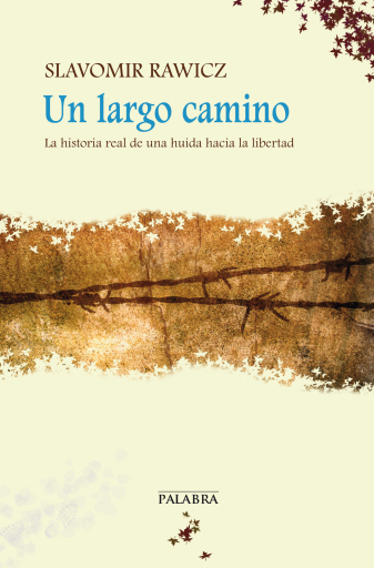 Un largo camino (digital)