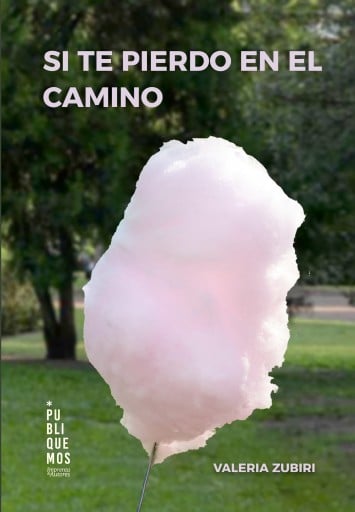 SI TE PIERDO EN EL CAMINO