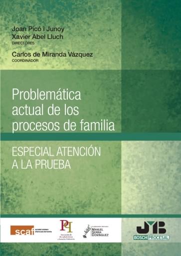 Problemática actual de los procesos de familia. Especial atención a la prueba