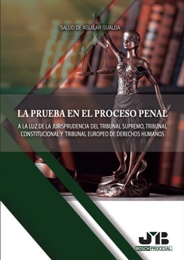 La prueba en el proceso penal