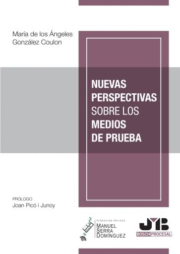 Portada del libro «Nuevas perspectivas sobre los medios de prueba», de María de los Ángeles González Coulon