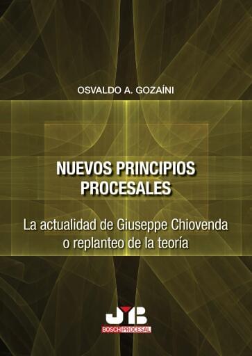 Nuevos principios procesales