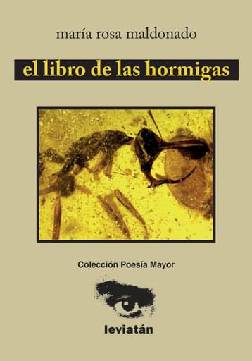 el libro de las hormigas