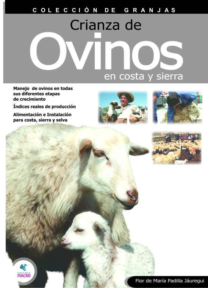 Crianza de Ovinos (Costa y Sierra)