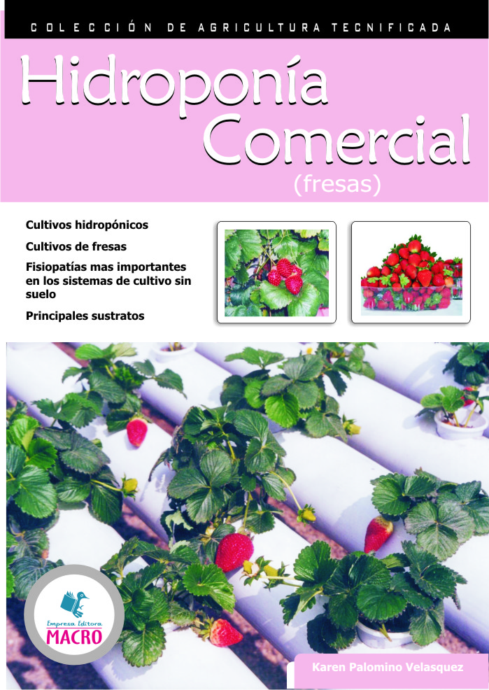 Hidroponía Comercial (Fresas)