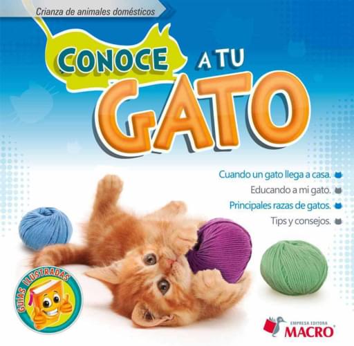 Conoce a tu gato