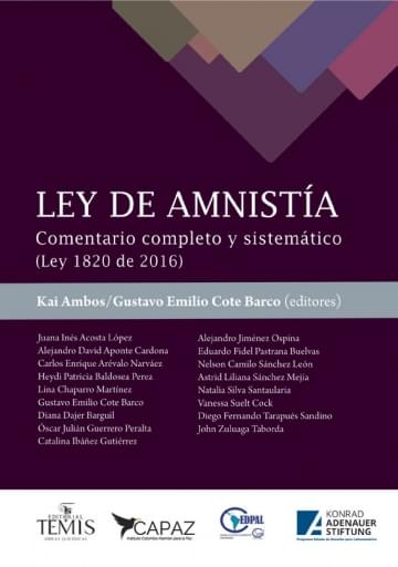 Ley de amnistía