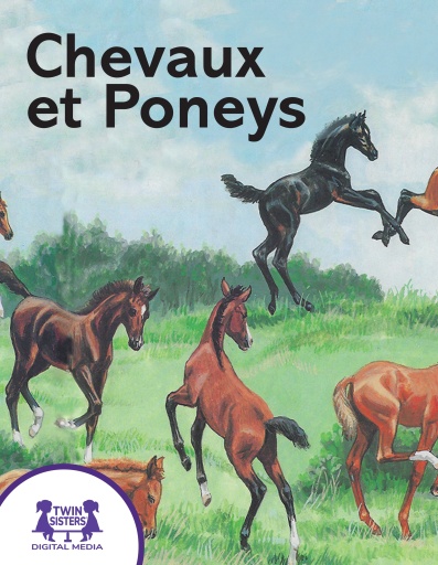 Chevaux et Poneys