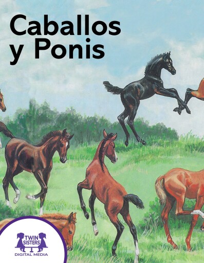 Caballos y Ponis