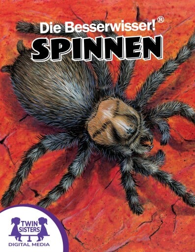 Die Besserwisser!® Spinnen