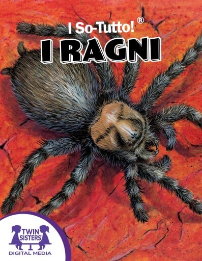 I So-Tutto!® I Ragni