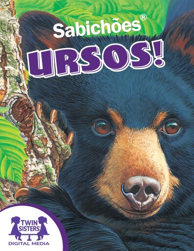 Sabichões!® Ursos!