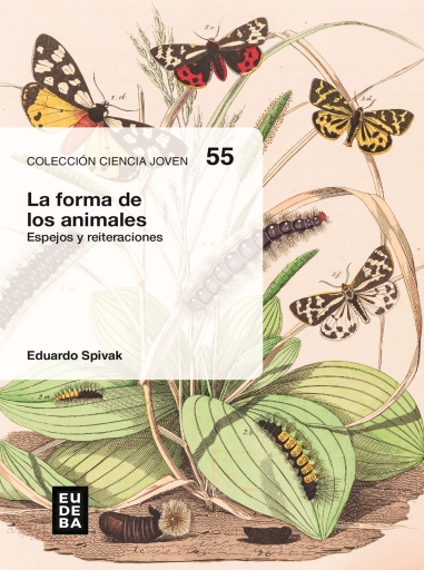 La forma de los animales