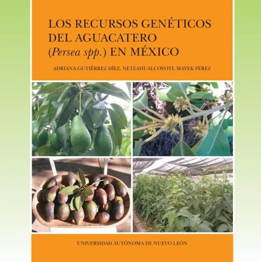 Los recursos genéticos del aguacatero (persea spp.) en México