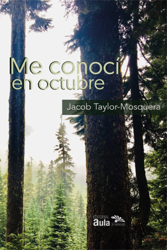 Portada del libro «Me conocí en octubre»