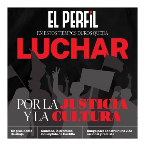 EL PERFIL N° 59: Papel Digital - Del 20/02 al 06/03/2022