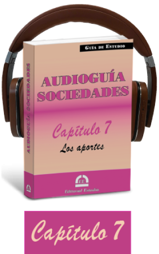 Cap. 7. Los aportes (audioguía de sociedades)