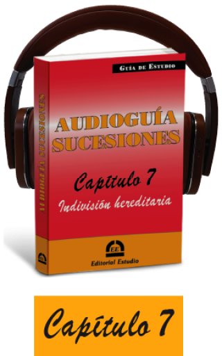 Cap. 7. Indivisión hereditaria (audioguía de sucesiones)